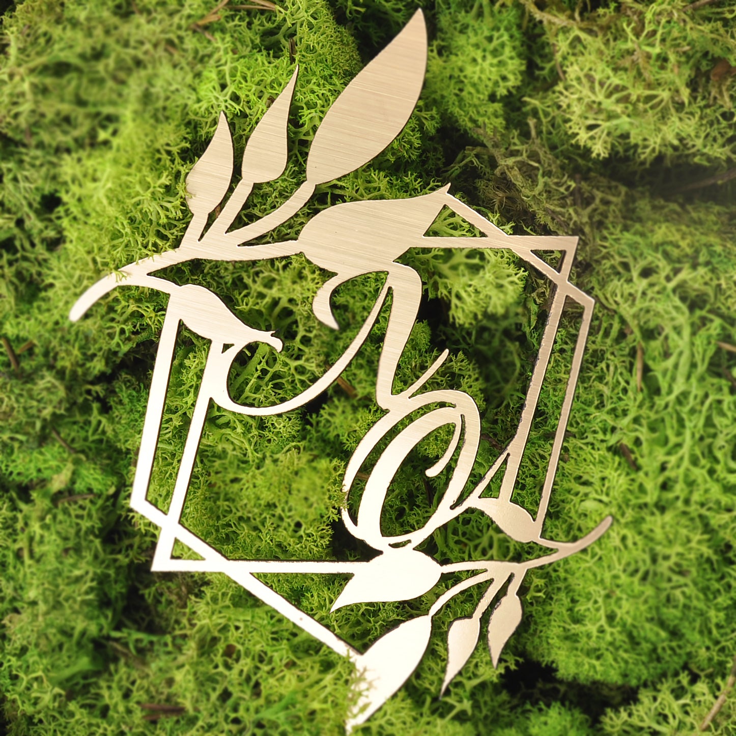 Монограма Ініціали на весілля, весільний герб з ініціалами, монограмма на весілля, весільна монограмма, Дерев`яна монограма на весілля, весільний герб, герб родини, герб молодоженов, Монограмма на свадьбу с золотыми буквами, Фамільний Герб з Пінопласту, Монограма на весілля з дерева, Монограмма на свадьбу Именная, Свадебная монограмма или герб свадьбы, золотые имена на свадьбу, серебрянные имена на свадьбу,